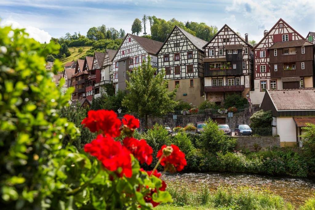 Apartamento Haus Sieber - Familie Link Schiltach Exterior foto